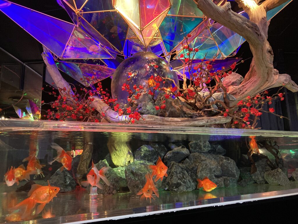 金魚ミュージアム